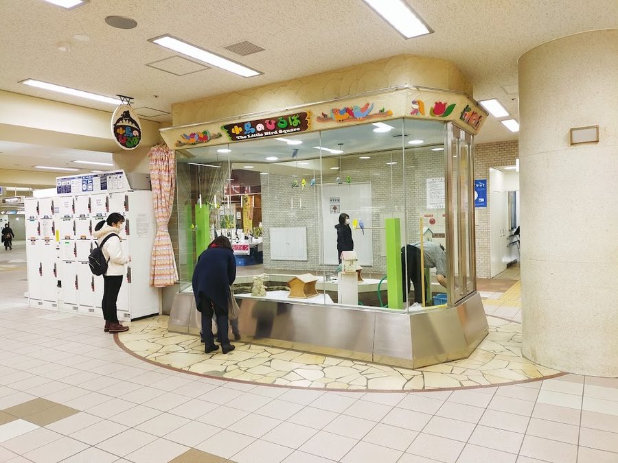 プティ・シェーヴルHOKKAIDO〜やぎミルク専門店〜