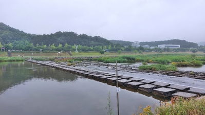 유림공원 전망대