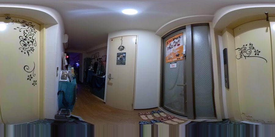 午前2時のハリネズミさん