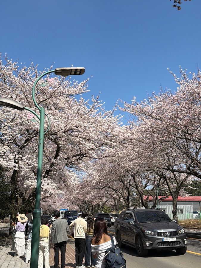 제주 제대길
