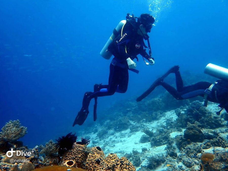 Mactan Scuba Dive Center