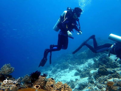 Mactan Scuba Dive Center