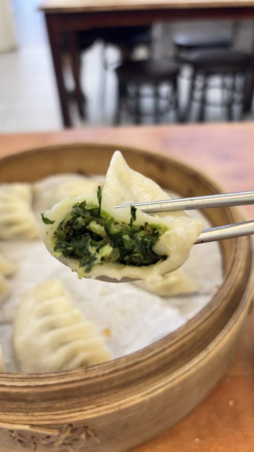 Shirley Red Vegetarian Dim Sum