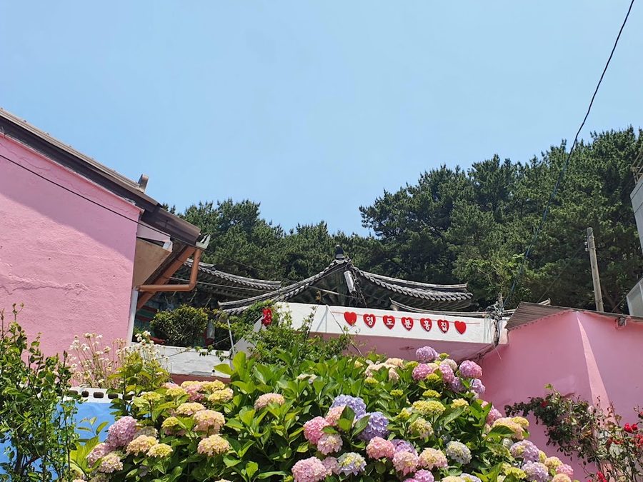 태종대 분홍집