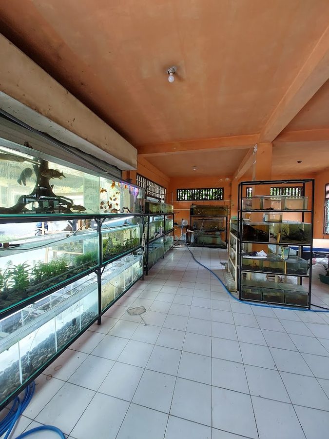 Krisna Aquatic