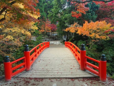 紅葉谷公園