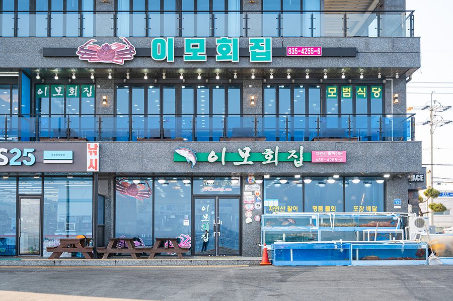 姨母膾店