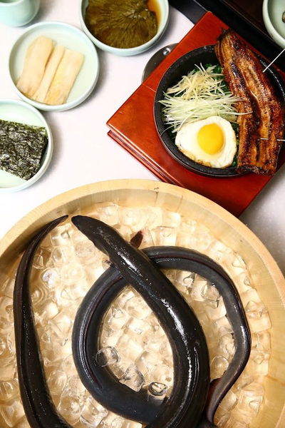Korean Restaurants Yeongdong Eel