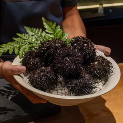 FUME | Japanese Modern Cuisine