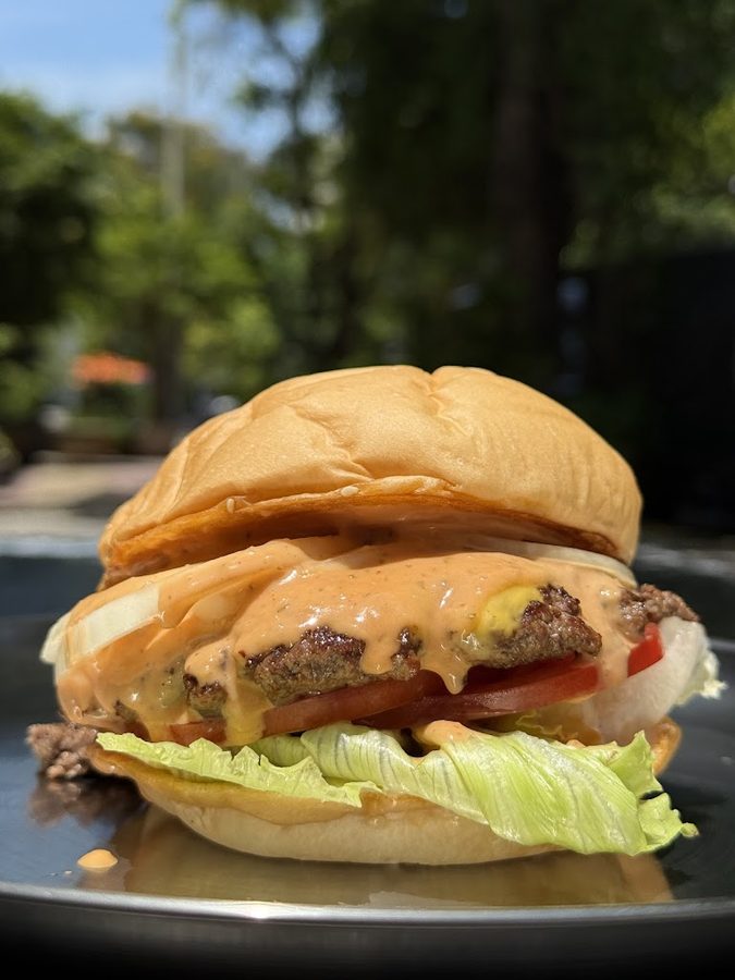 Dip Burger