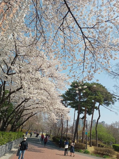 Yeongdeungpo Park