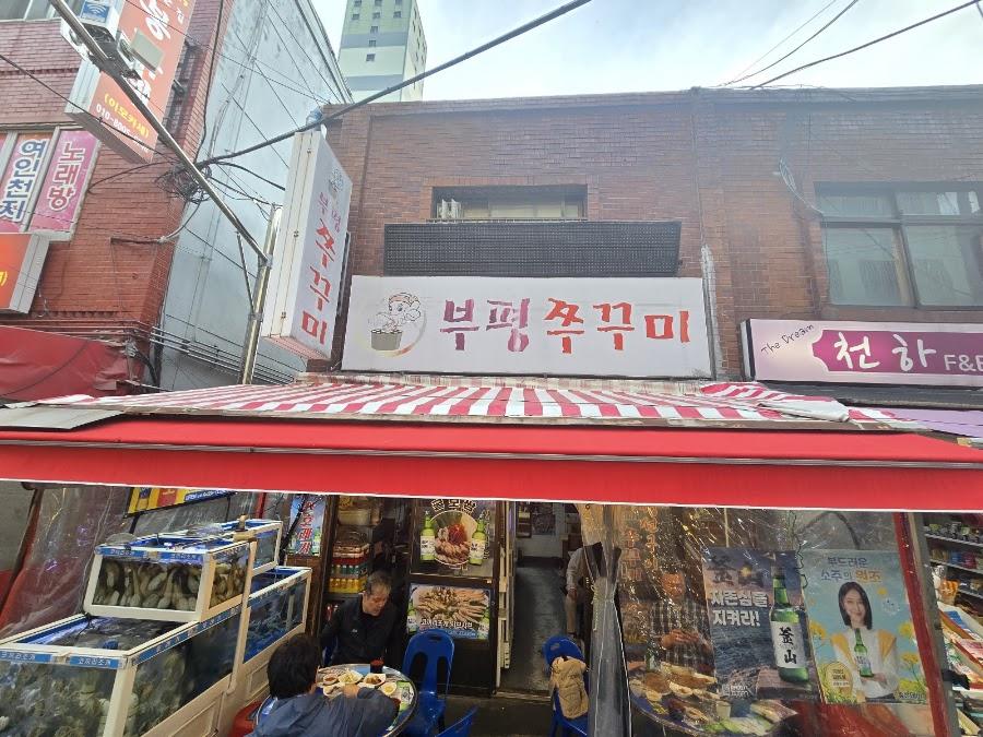 Bupyeong Zucchini