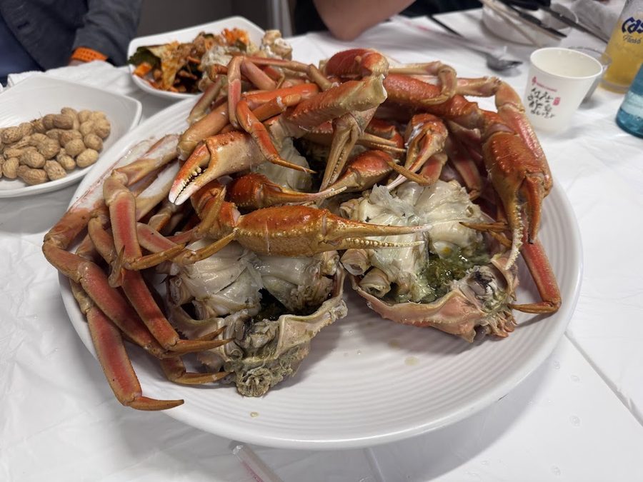 Blue Ocean King Crab