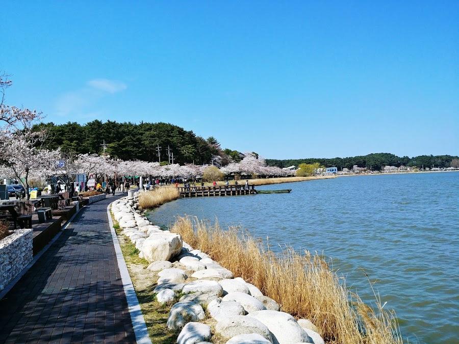 Gyeongpo Lake