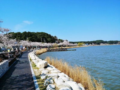 Gyeongpo Lake