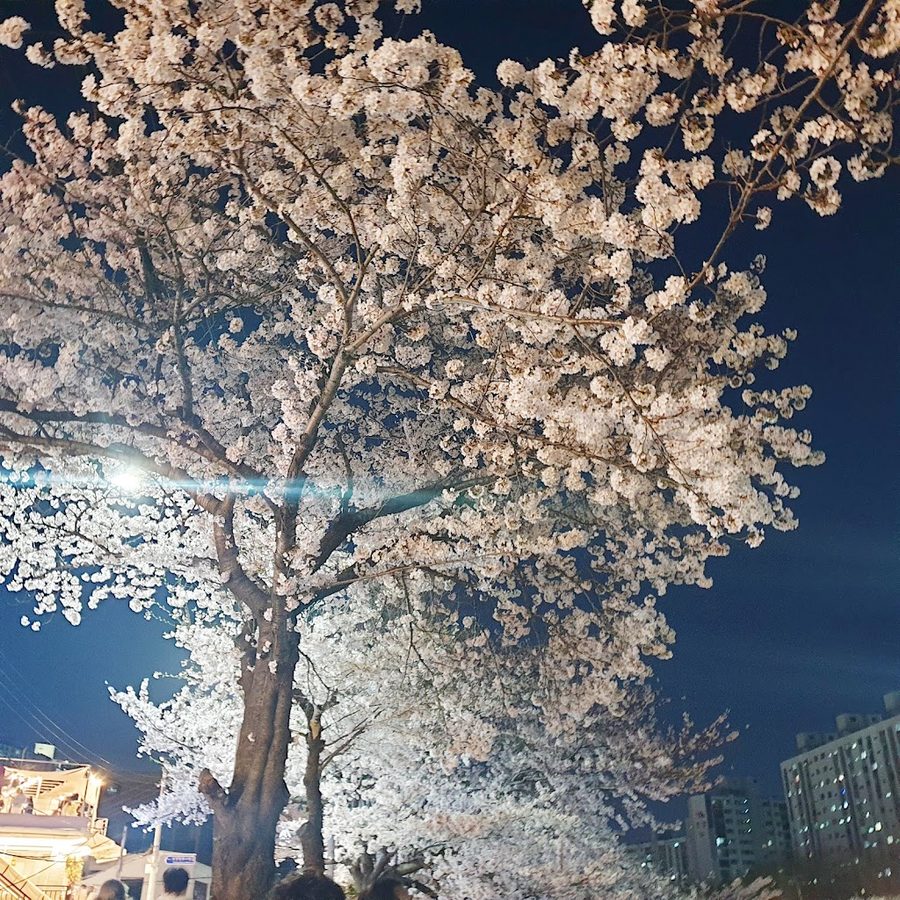 Nakmin Park
