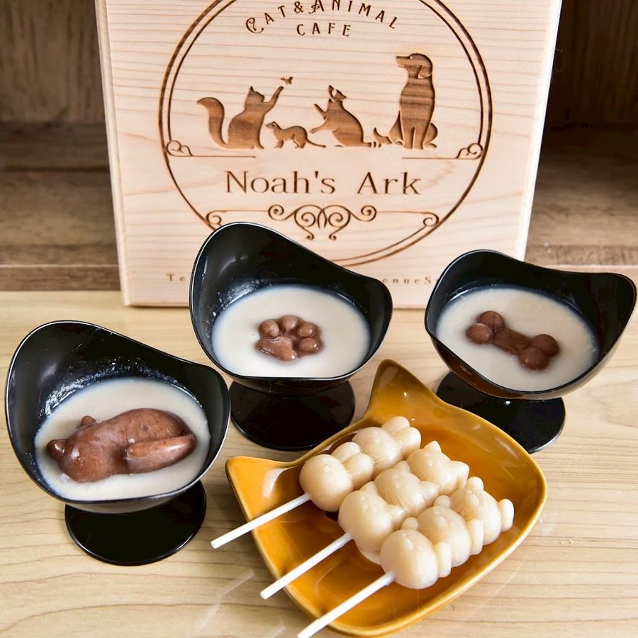 Cat&Animal Cafe Noah's Ark 祇園店
