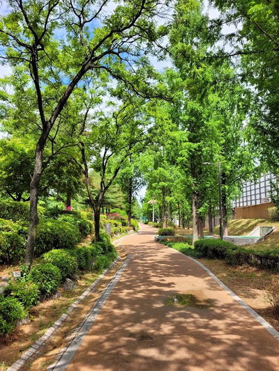 Gongam Naru Neighborhood Park