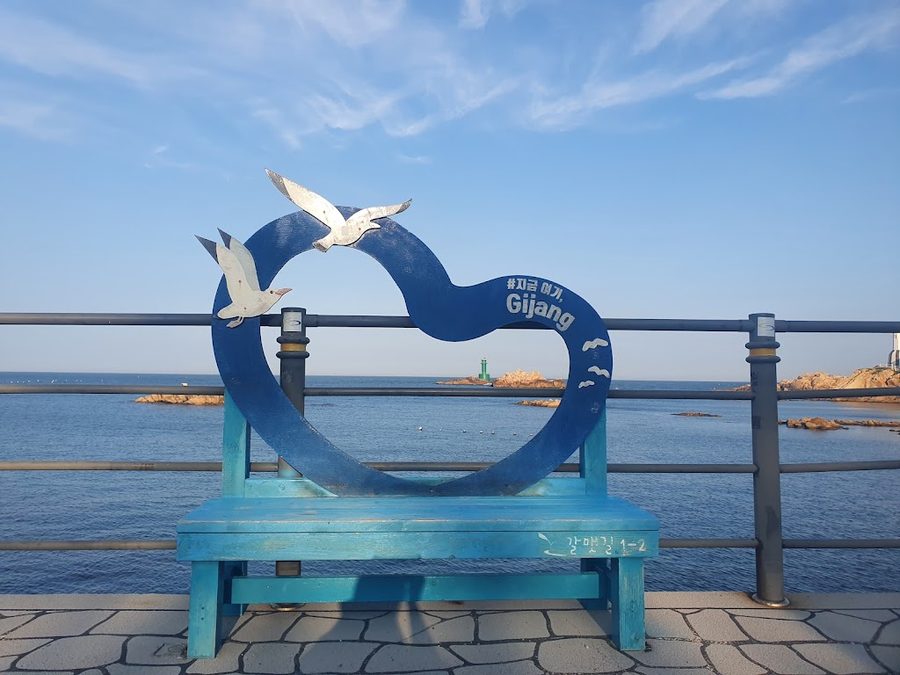 황학대