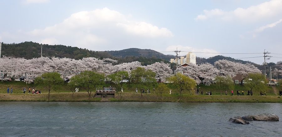 豐德公園