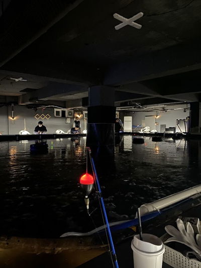 J&D 室内海釣り場 ジェイアンドディ