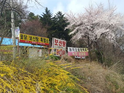 삼미식당