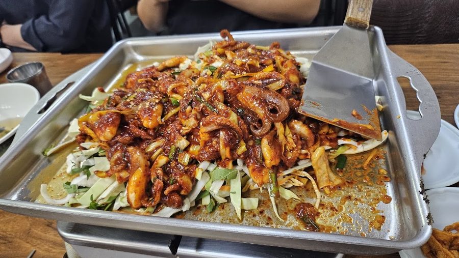 진도집