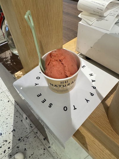 HEBE Plant Bar ไอศครีมฮีบี (Emporium)