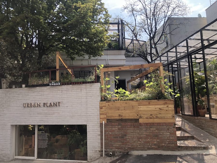 Urban Cliff