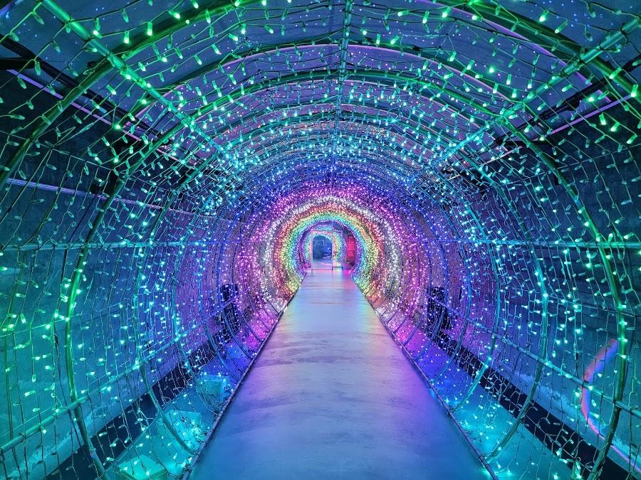 Danyang Suyanggae Light Tunnel