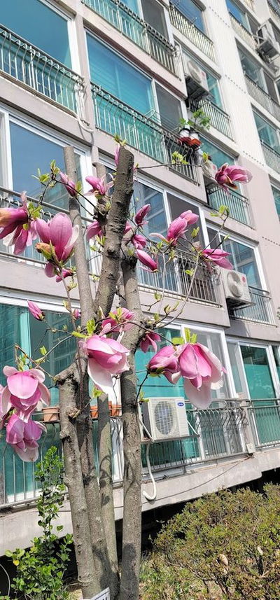 Jangmi Maeul Hyundai 1 Danji Apartment