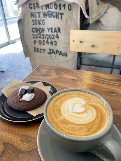 BECAUSE COFFEE BREWERS