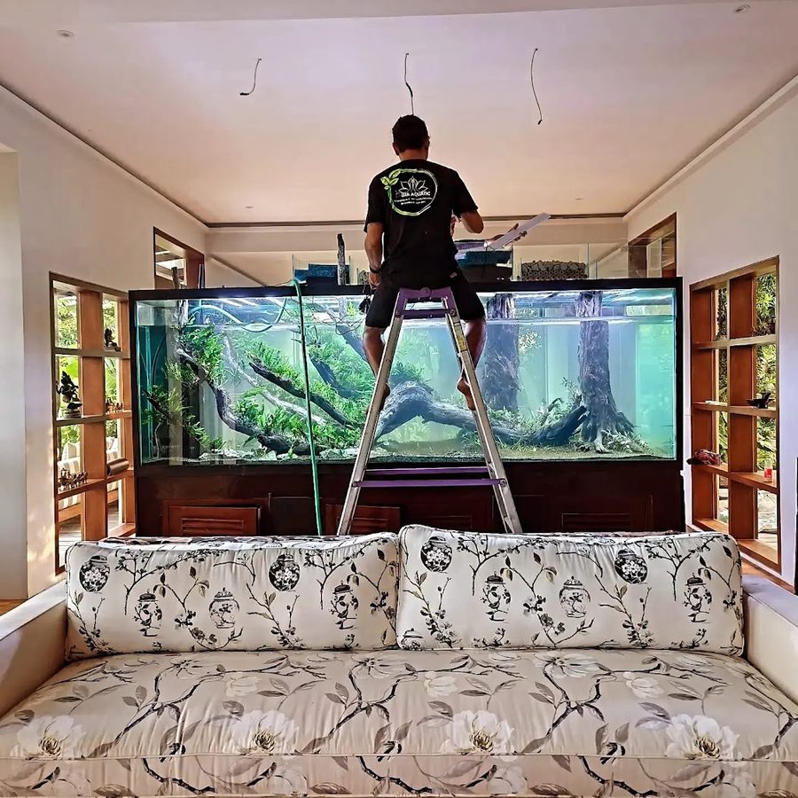 Puja Aquatic