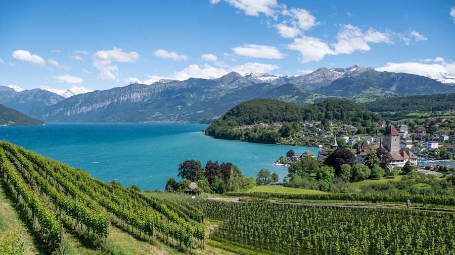 Schloss Spiez
