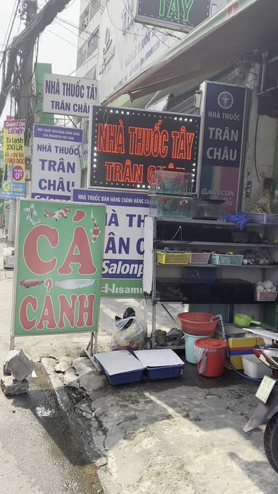 CÁ CẢNH VŨ HIỂN