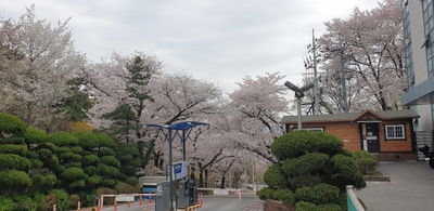 정립회관