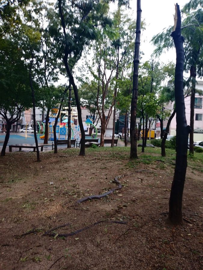 東平公園