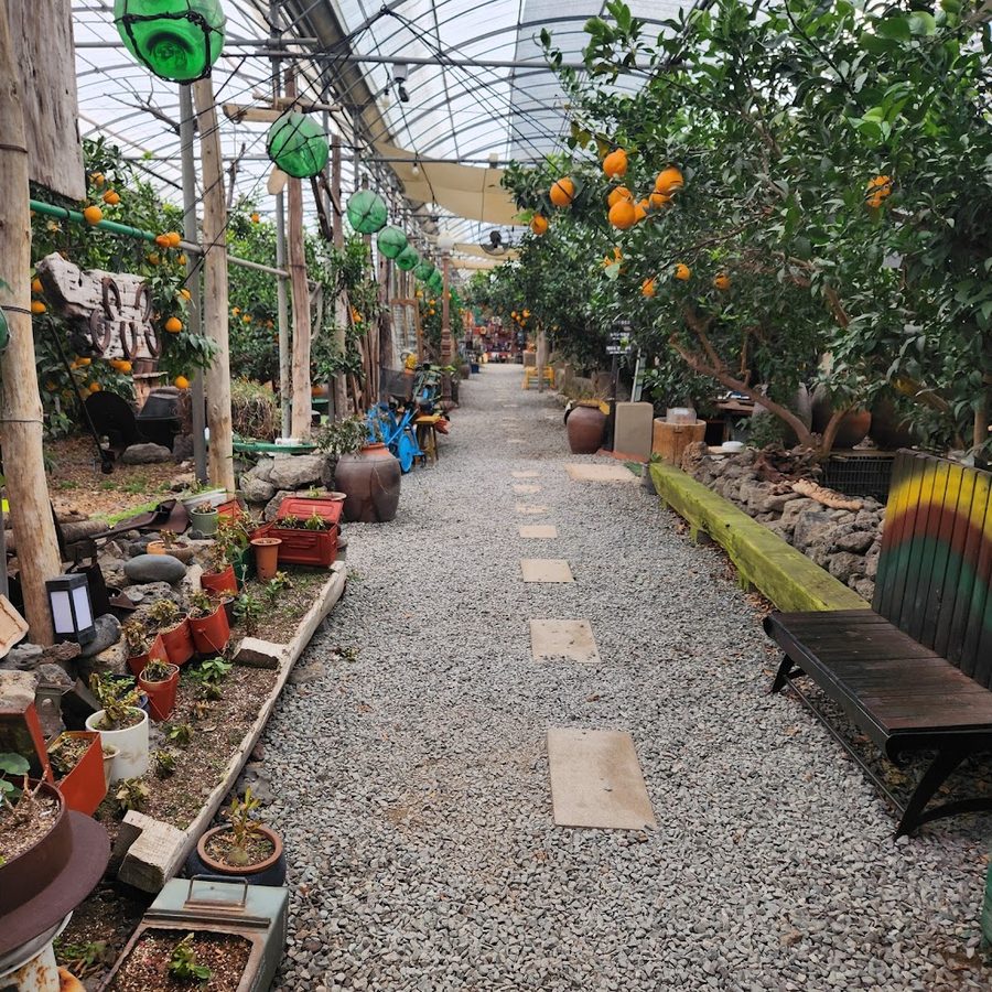 Sanmool Tourist Farm (Cafe, Museum, Farm)
