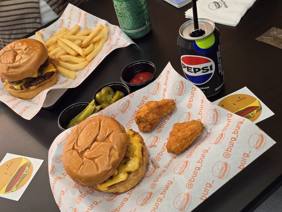 Burg Burg