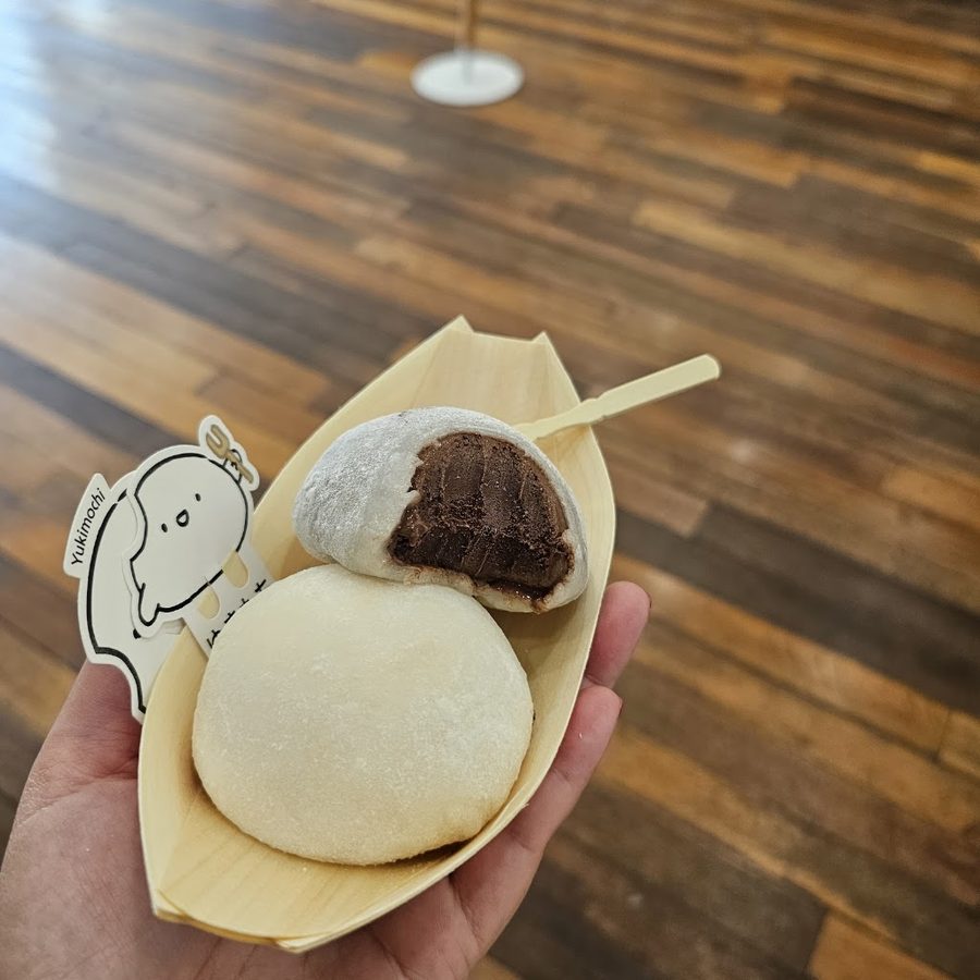 Yuki Mochi