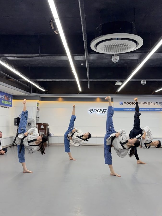 Gukgadaepyo Hyotae Taekwondo Center