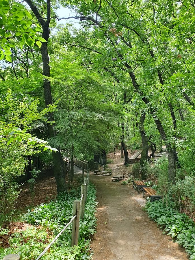 Odong Neighborhood Park (Gangbuk)