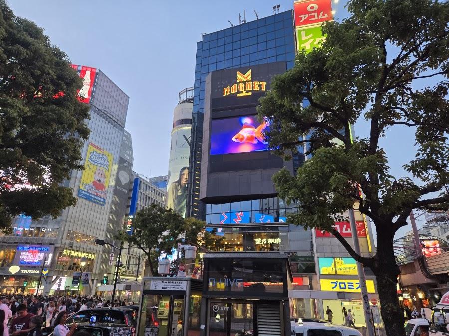 Shibuya 109