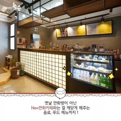 놀숲