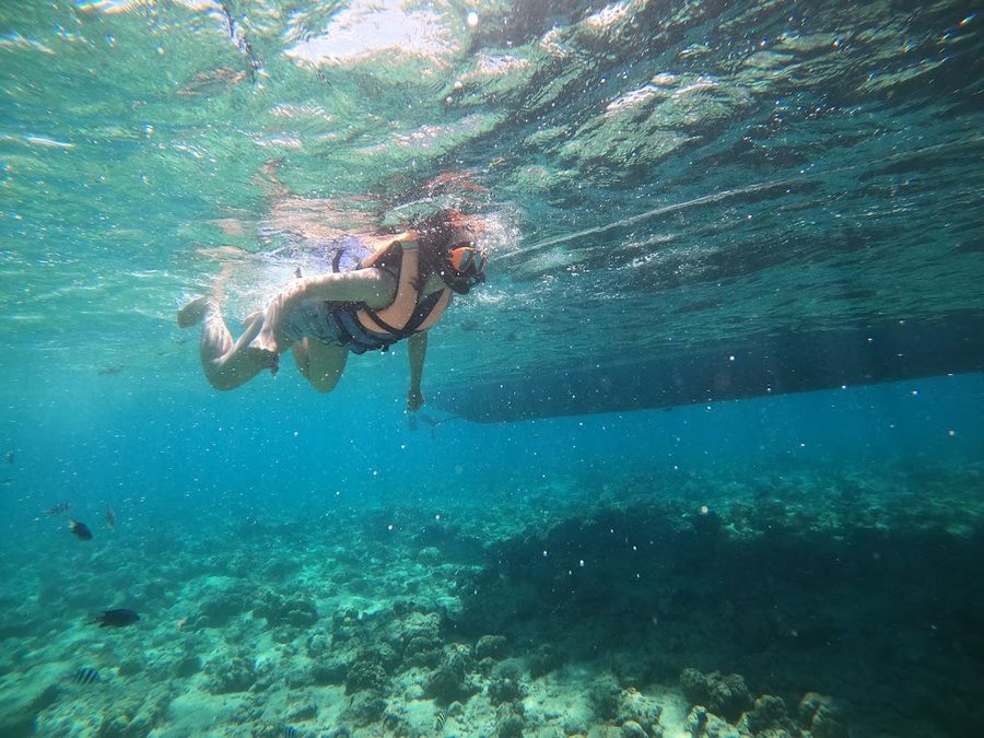 Cebu Island Hopping Tour