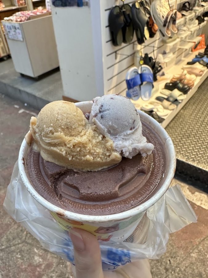 Taiwanese Handmade Fruit Ice Cream