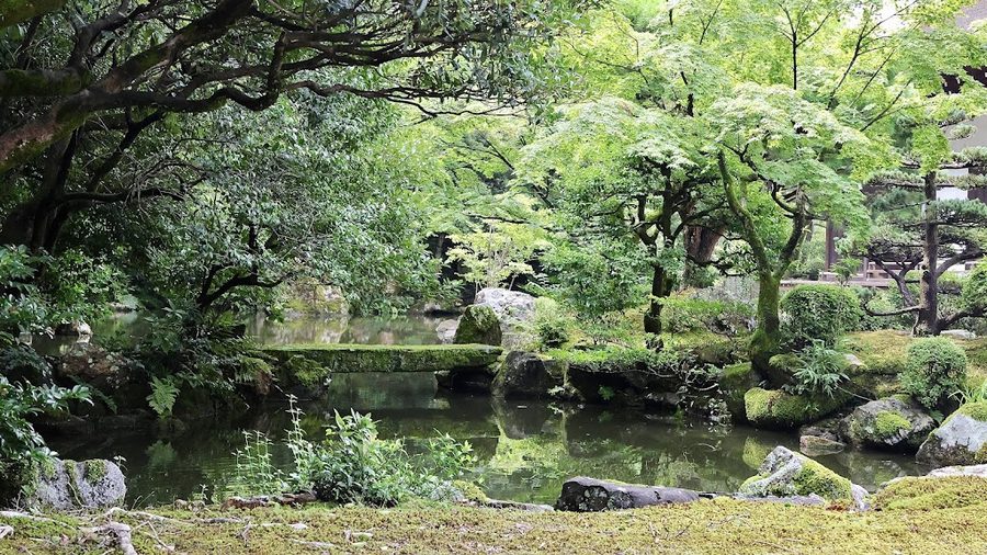 方丈庭園