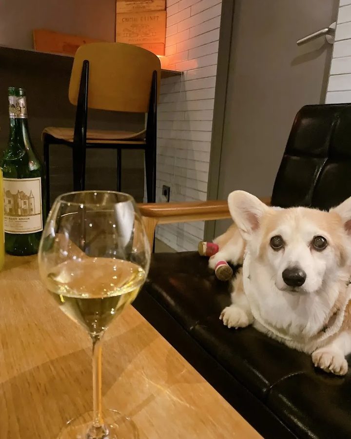 Winebar Nico Somm