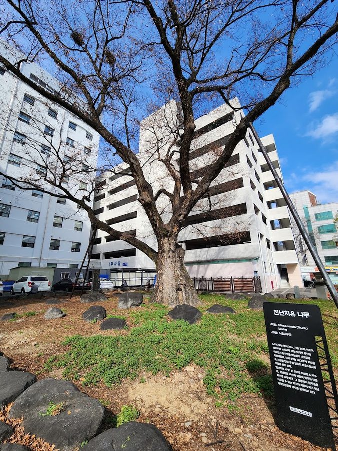 Gwangju Hakdong Neutinamu
