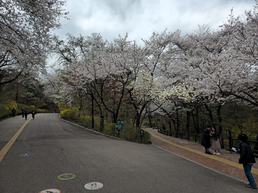 Namsan Dulle-gil